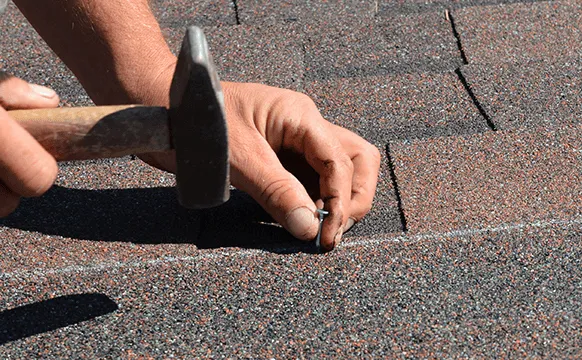 Thinking About a New Shingle Roof, Read This First!