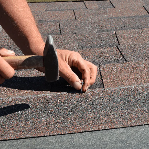 Thinking About a New Shingle Roof, Read This First!