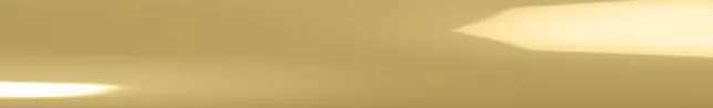 Bright Brass hardware finish