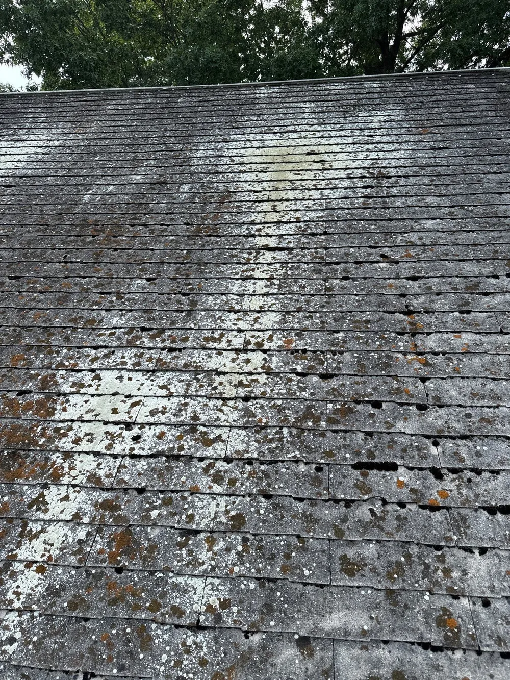 Textured Bronze Roof and Flat Membrane Installation in Hershey, Hershey, PA, photo 12