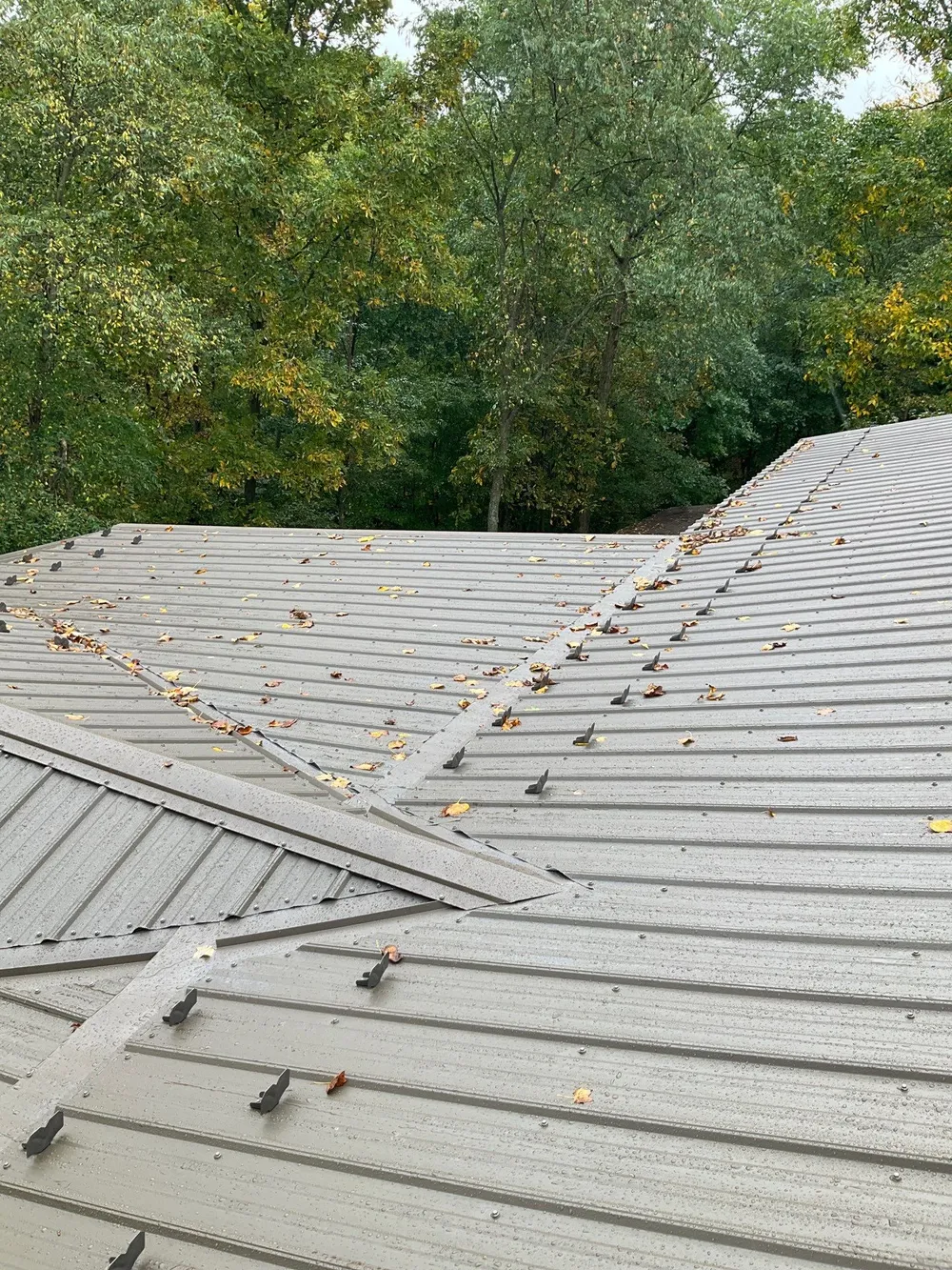 Log Cabin Standing Seam Metal Roof and Skylight Replacement, Halifax, PA, photo 5