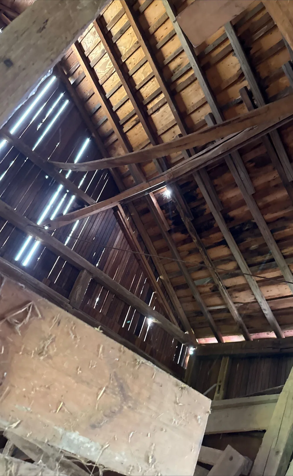 Protecting a Family Barn for Generations, New Cumberland, PA, photo 12