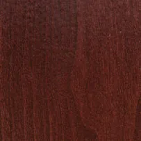 Cinnamon