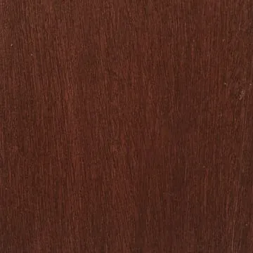 Cinnamon