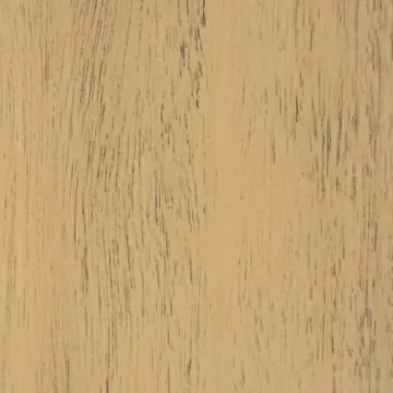 Driftwood